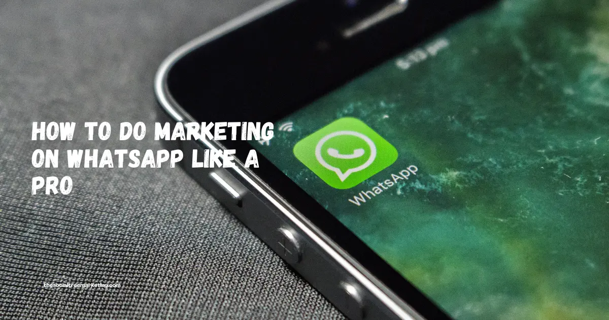 How to Do Marketing on WhatsApp Like a Pro