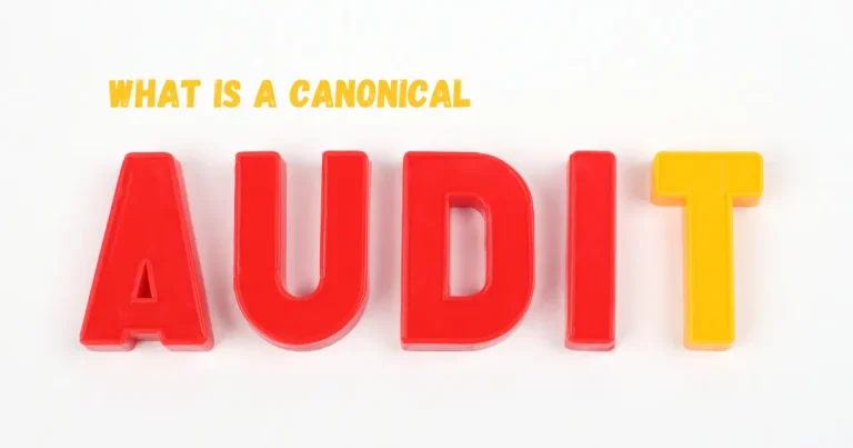 What Is a Canonical Audit?  