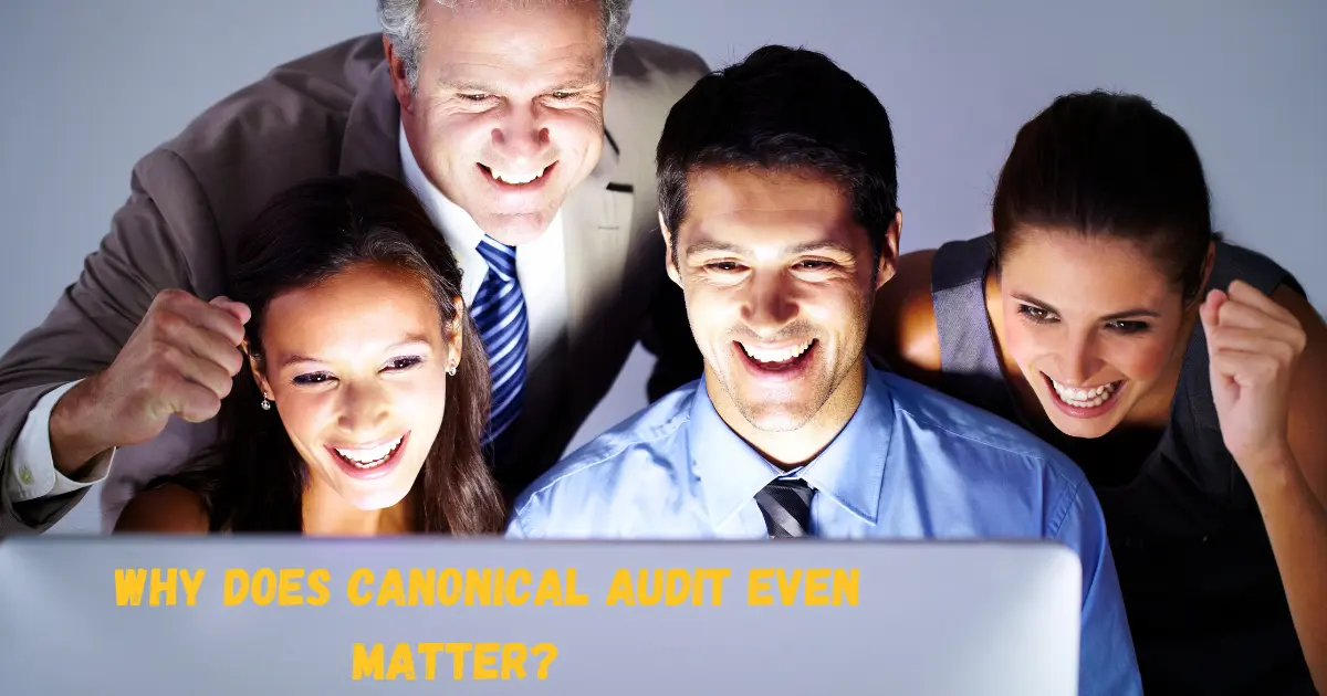 Why Does Canonical Audit Even Matter?