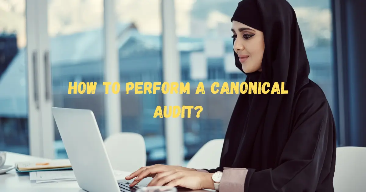How to perform a Canonical Audit?