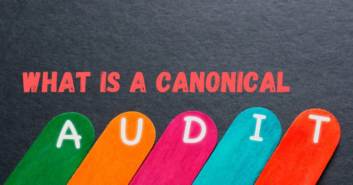 what is canonical audit